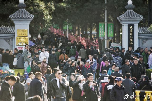 超期待 杨紫琼加盟《阿凡达》续集