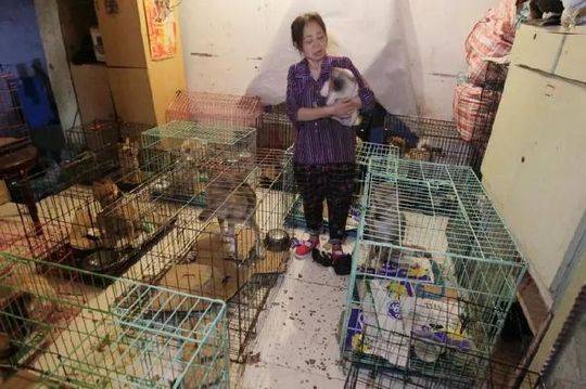 赵丽颖产后懒理争议晒一大桌美食:减肥动起来_HK CN2 server