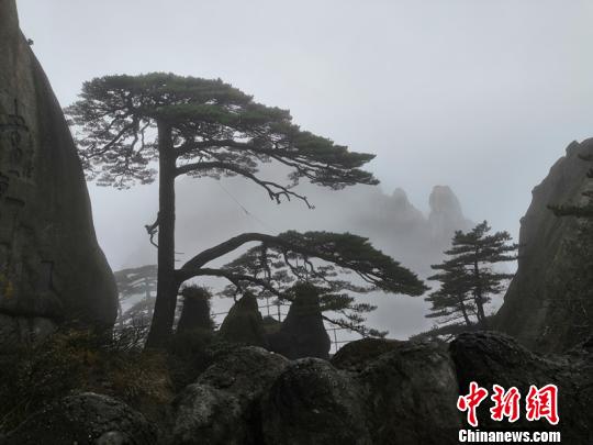 国资改革重磅文件出台，允许国企开展股权激励_企业云服务器