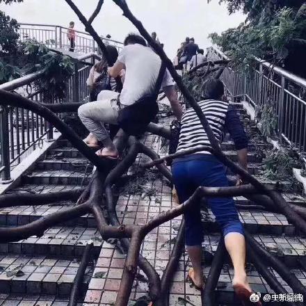 十年终圆梦！ 刘诗雯4-2陈梦世乒赛女单封后_CN2服务器好用吗