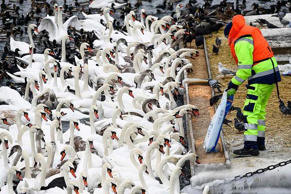 因奔驰销量下滑 戴姆勒Q1运营利润下降16%_香港CN2线路