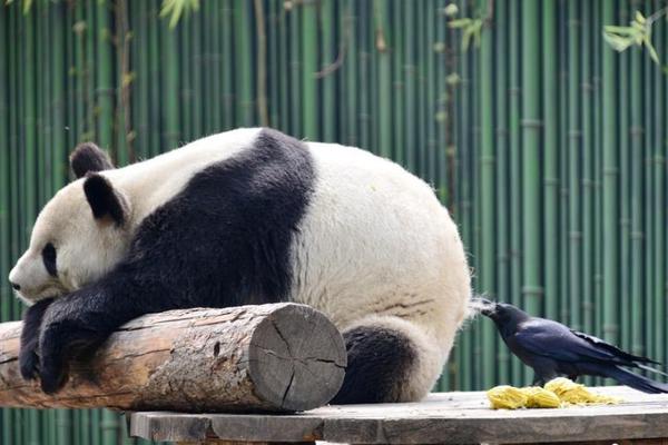 美大学突发多起枪击事件致2死4伤_挂机宝自动任务