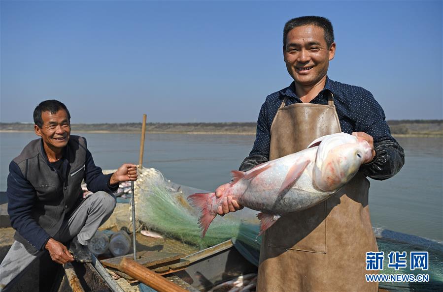 申请一个ipv6云服务器_C86云服务器
