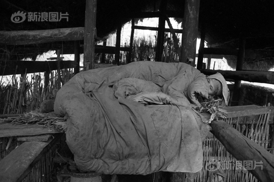 填坑创新高一个不能少_京东云服务器