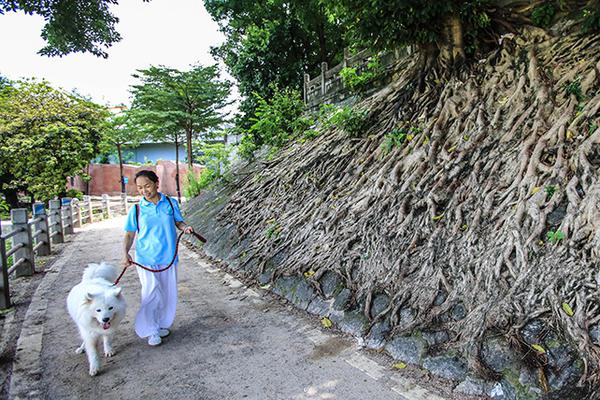 甘肃肃南发现5处岩画 文物局正在核实具体信息_挂机宝解锁流媒体