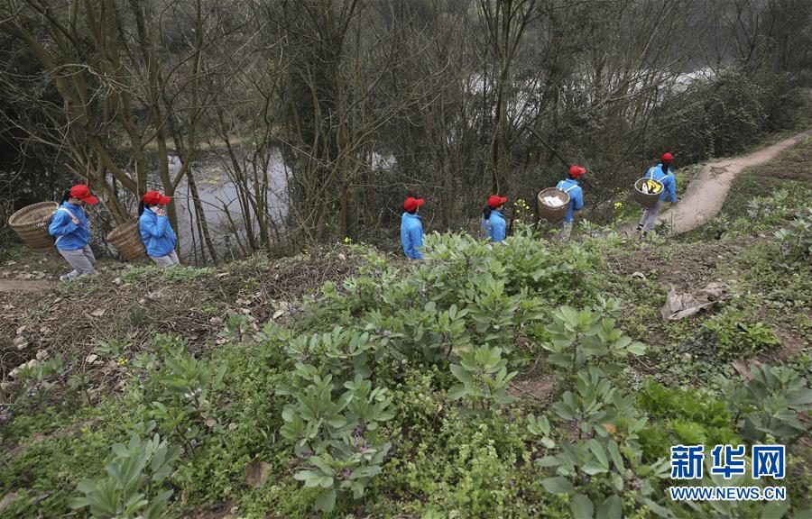 躺着也赚钱的基金投资课_9929企业专线