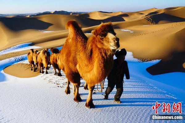 前曼联名将正式宣布退役_云电脑数据恢复