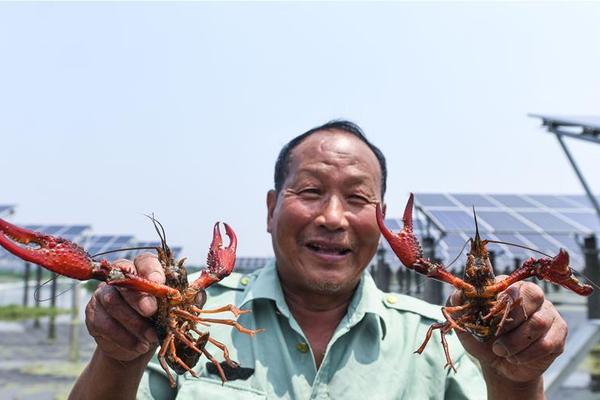 冉莹颖挺三胎孕肚主持节目 浓妆挡不住一脸疲态啊_云电脑手机连接电视