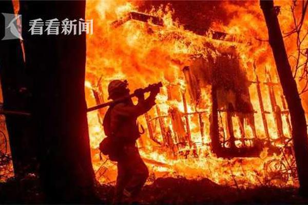 崩溃!女子9000元的“战斗鸡”被人偷宰准备下锅_9929延迟