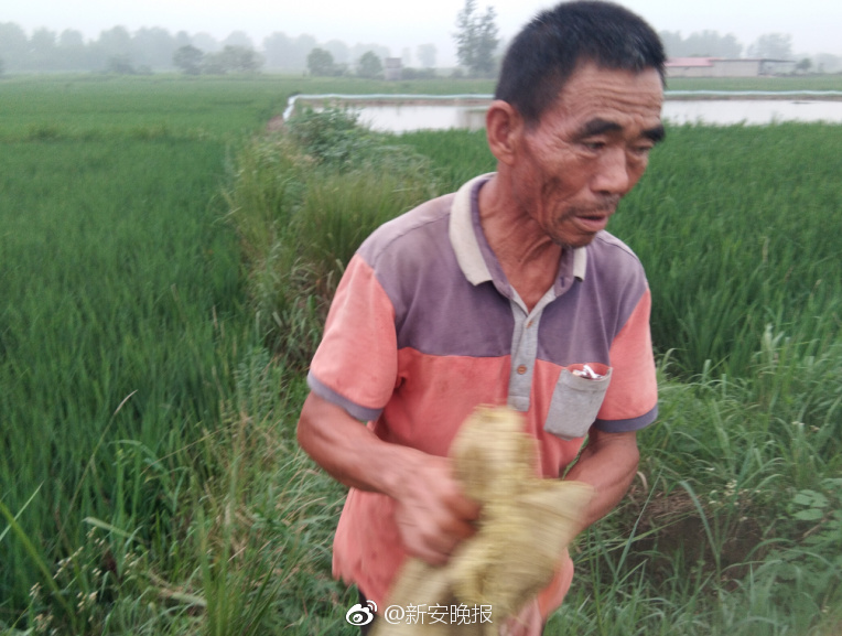 苏州高新:立足高新,转型升级,经营绩效持续实现新突破_云服务器续费3折