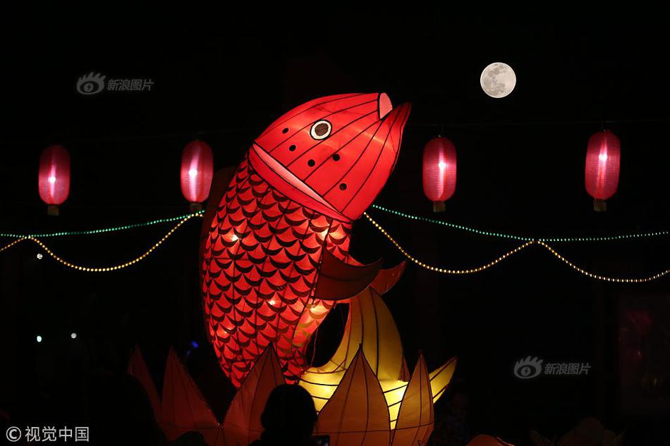 八天七夜 重庆网红地图请收下_DaaS