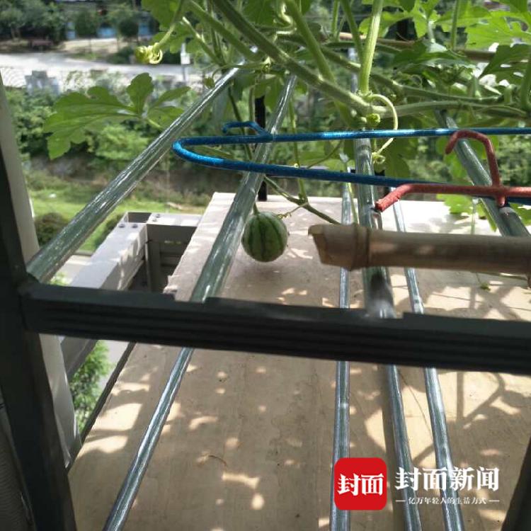 陕西一中学女生被学生殴打_云电脑永久免费