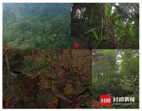 一组数据拉响申花“全面警报” 三大问题待“花帅”解决_云电脑零信任