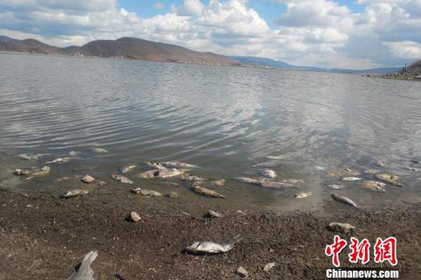 央行:被选用进行相关新技术的研究_AI训练服务器