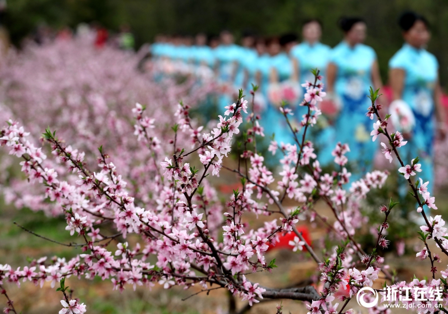 花费1000元买一把键盘是什么心理？_挂机宝免费试用