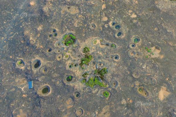 迈阿密世界首个飞行汽车空港即将建成_CAD云电脑