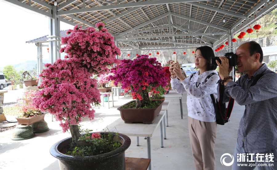 虚构的“种草”，是污染购物环境的“毒草”_云服务器价格