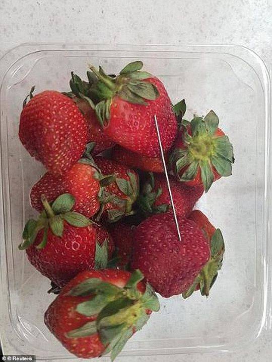 银隆否认大股东诈骗新能源补贴,系政府扶持资金已被转移_云电脑品牌