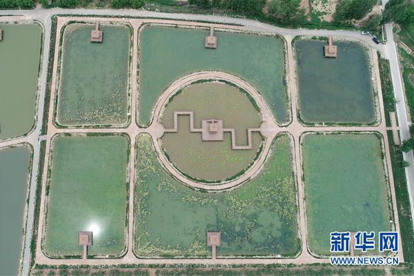 黄渤谈电影被盗版：希望观众也养成看正版的习惯_青椒云电脑