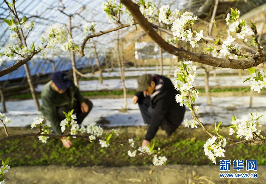 这十款冷色球鞋别错过_CN2服务器直播推流