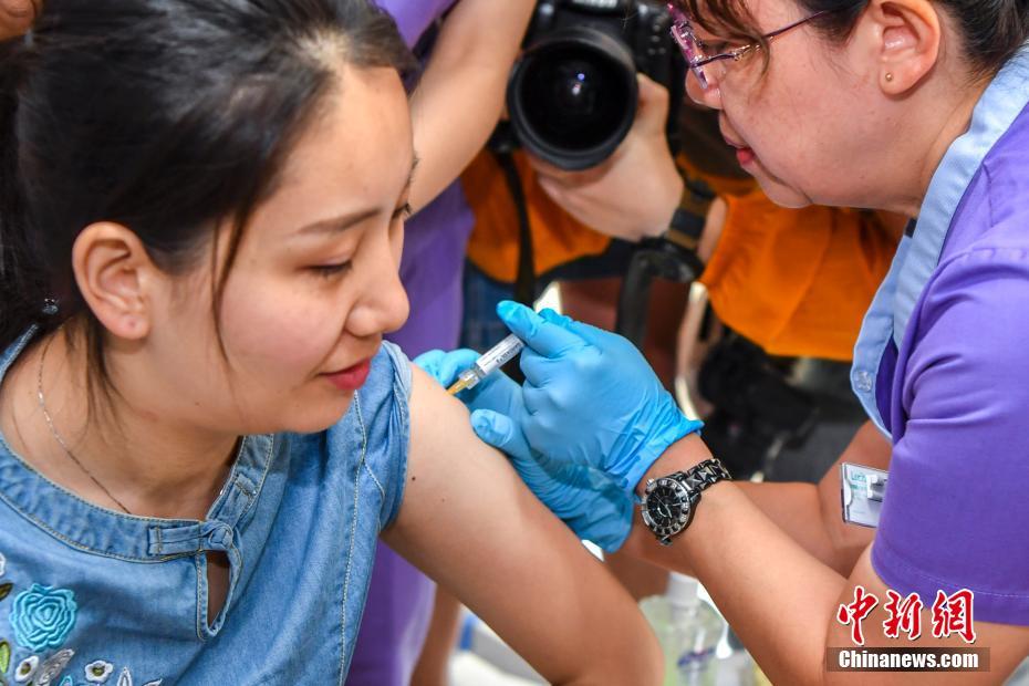 被称为“洗肠草”,现在吃它正合适,益肝又健胃_云电脑镜像