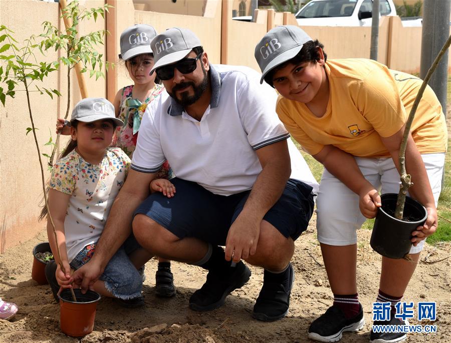 种植牙使用寿命是多久_挂机宝运行脚本
