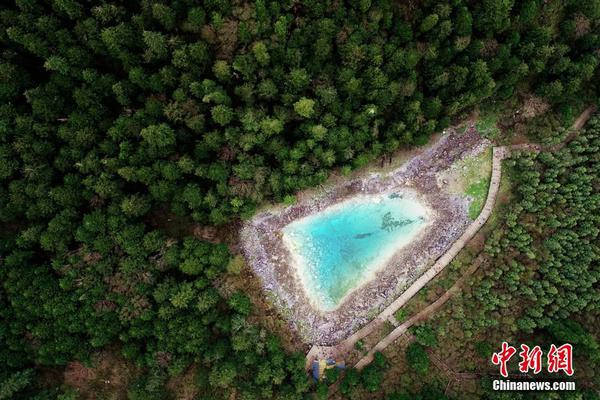 美国小黑喵先天性小脑发育不全 走路摇晃仿佛醉酒_云电脑快照回滚