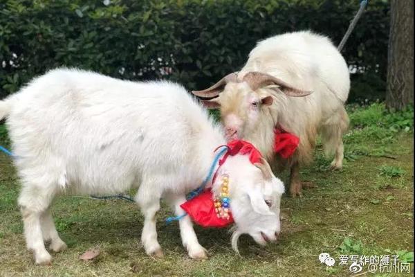 安妮海瑟薇近照状态回升_9929云桌面