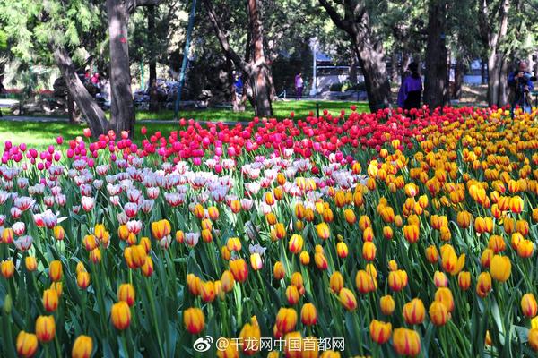 为什么你的华为手机比别人的卡?原来是这些设置在搞怪_CN2容灾备份