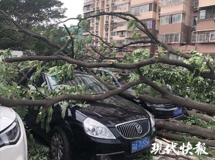 吴京谈流浪地球盗版:砸创作者饭碗_9929跨境必备