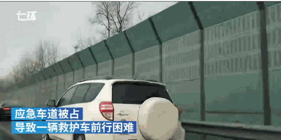 哈佛女神这样摆脱低效