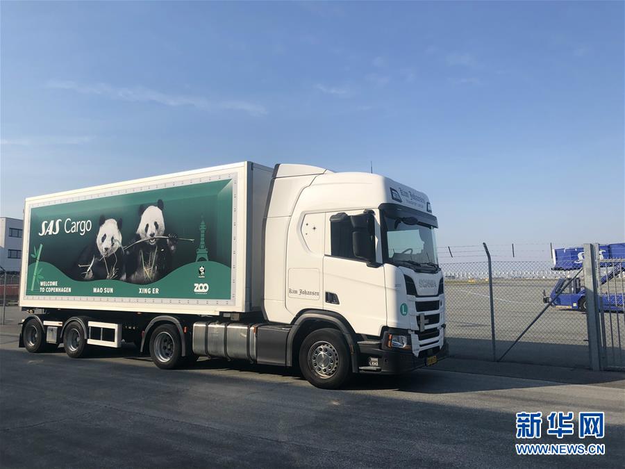 【福利社】天天都有神券限时限量等你抢_9929在线教育