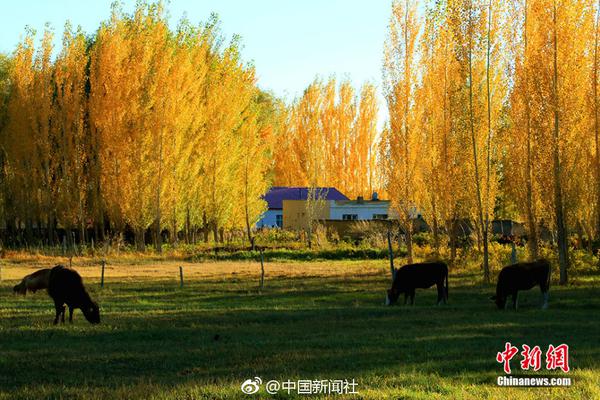 商务部:今年上半年公布新的外资准入负面清单_云电脑品牌