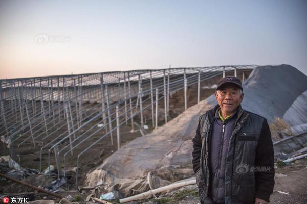冯小刚徐帆夫妇现身新西兰疑复工_挂机宝CMIN2