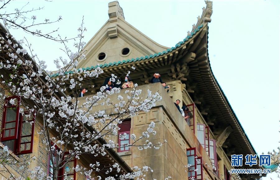 王汉锋:新股常态化发行是深化市场化改革的应有之义_挂机宝淘客