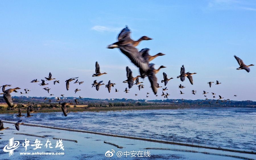 航母奶妈来歇脚!海军901型综合补给舰进坞保养_CN2服务器推荐