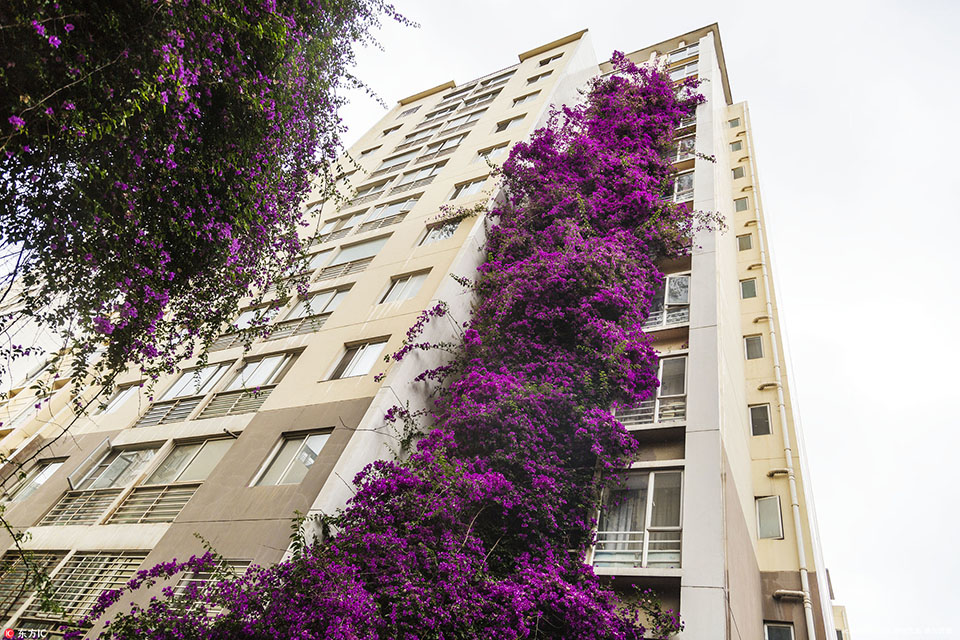 4月楼市成交稳中有落,土地供应同环比走高_云电脑零基础
