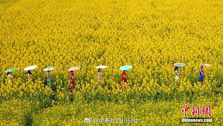 为什么大家都爱买“可乐圈”?_云电脑笔记本接入