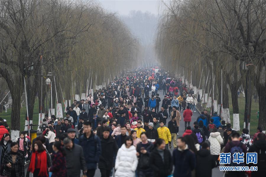 台儿庄会战时的一场伏击战_9929网络稳定性