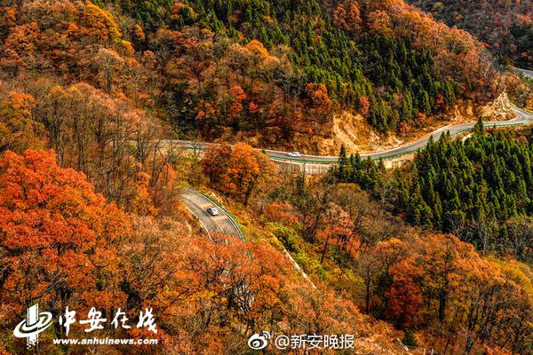 夜游北京世园会:看她灯光旖旎,如幻如梦_京东云服务器