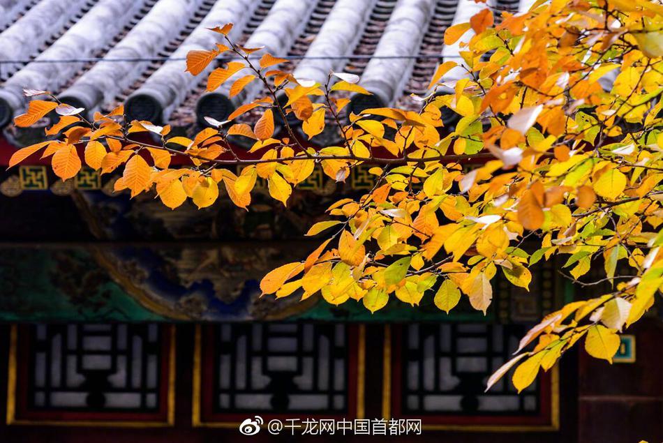 帕金斯:阿杜离开雷霆不因韦少 若他联手欧文将很特别_云电脑文件共享
