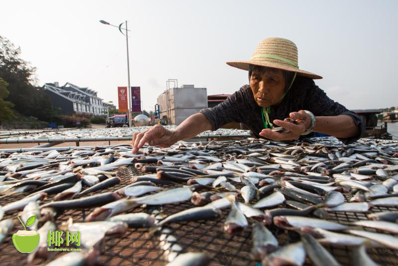 两部门：对缺水地区及沿海地区等用水管控_云电脑挖矿