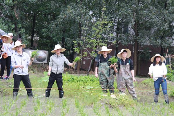 AI体测、智能试衣、智慧客厅，南都记者揭秘“中国品牌日”看点