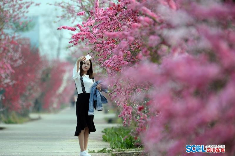 域名店铺申请开通由什么要求_9929测评