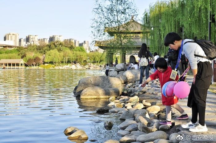 学杨幂穿健美短裤超吸睛_9929DevOps环境
