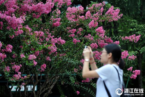 防近视 江苏禁止学生将个人手机、平板带入课堂_挂机宝做网站