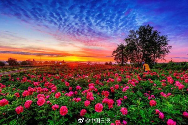 网易传媒:打造内容消费升级新生态_挂机宝挂QQ