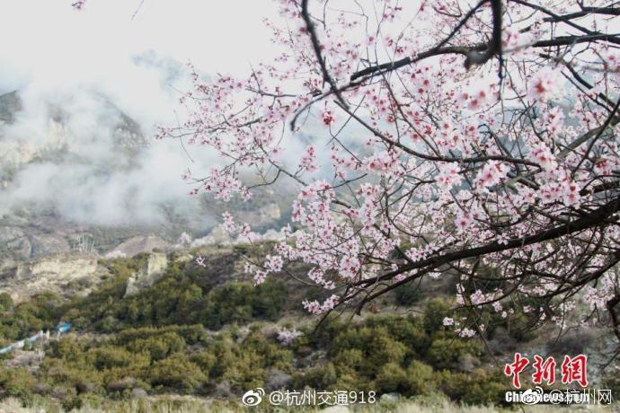 轿车突然冲破小区护栏“飞出”路面 两名行人神走位躲避