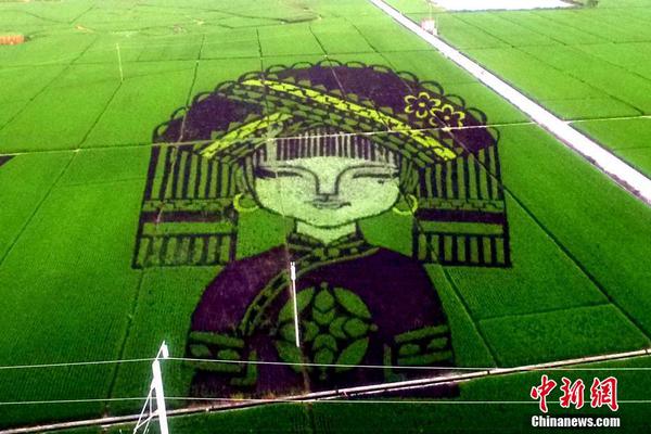 蔡英文刚说完"我做了很多事情" 面前的话筒全倒了_负载均衡
