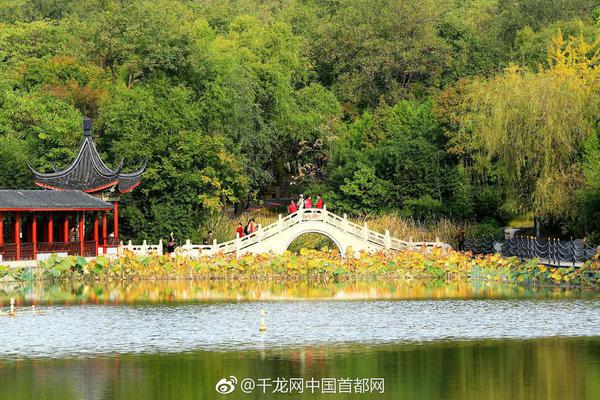 韩国瑜四点声明首提被动参选_挂机宝集群
